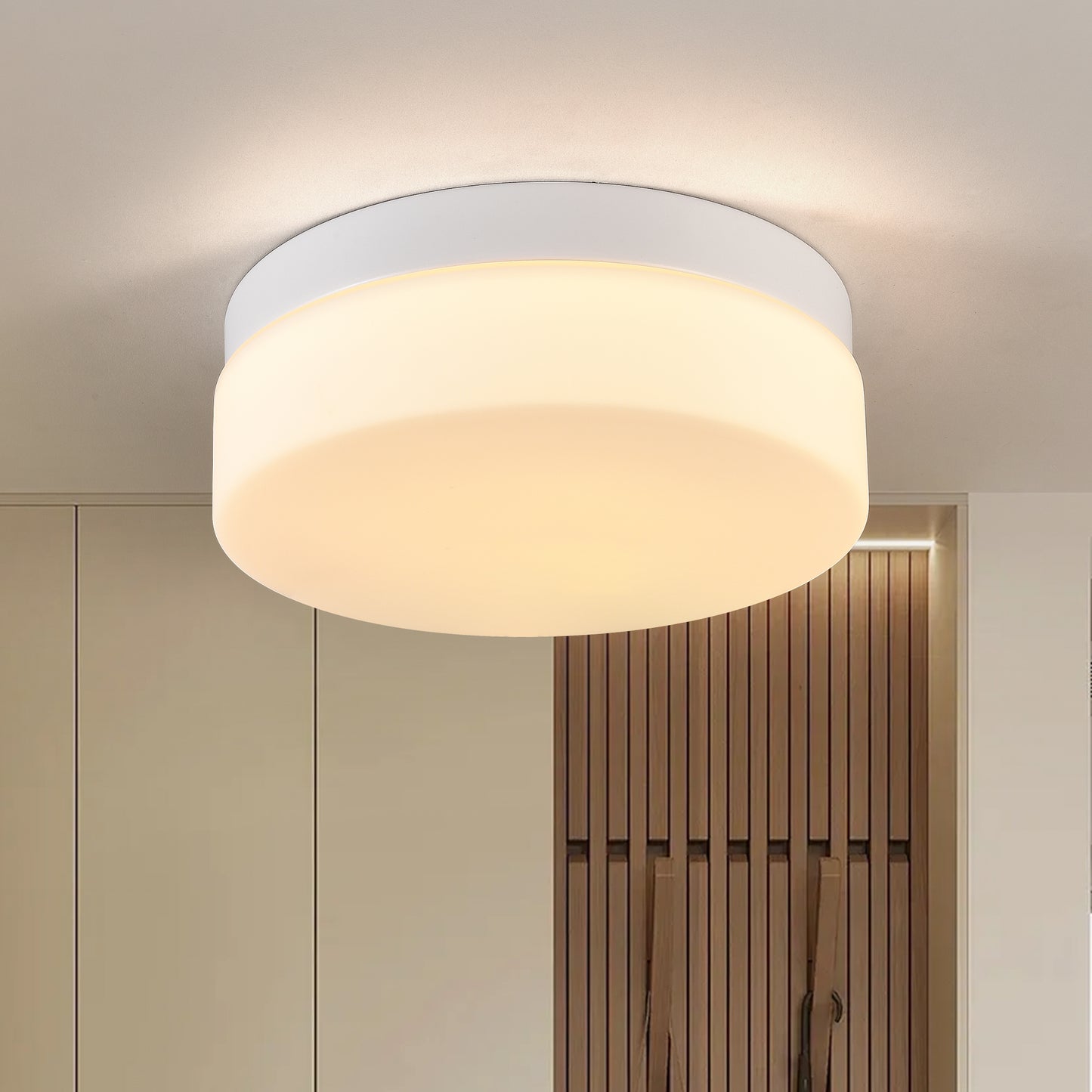 1 PACK LED Flush Mount Ceiling Light Fixture Ceiling Lamp  
